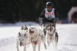 Lenzerheide 2013